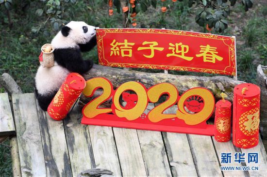 ����ᣩ��7������è�������´�