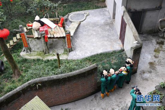 ����ᣩ��4������è�������´�