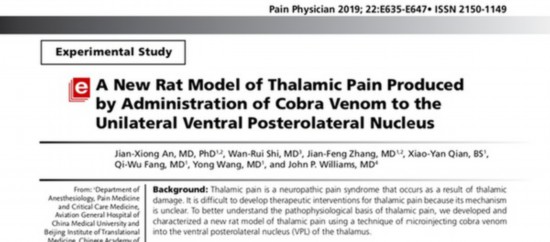 新型动物模型为征服丘脑痛带来希望