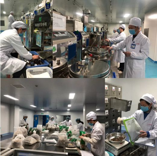 国药集团中药控股公司迅速恢复生产，确保疫情防控药品的及时供应