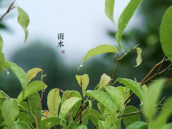 雨水节气到！想要全年脾胃好 重庆人应该这样吃！