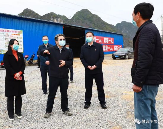 彭晓春到平果县调研检查疫情防控,企业复工复产和脱贫攻坚工作