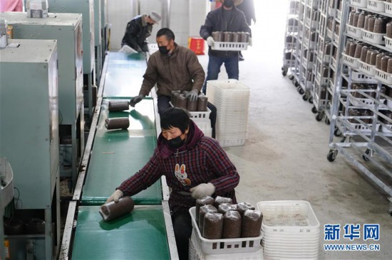 �����ã���6��ɽ�幤������æ