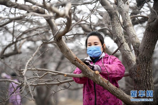 （聚焦疫情防控·圖文互動）（2）農民工返城：幾多憧憬幾許等待——走進疫情下的河北勞務輸出專業村