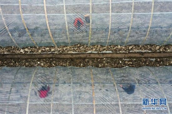 #�����ã���5�������ũæ