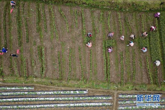 #�����ã���4�������ũæ