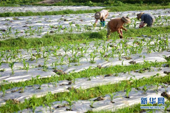 #�����ã���7�������ũæ