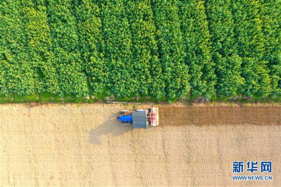 #�����ã���2������鴺��