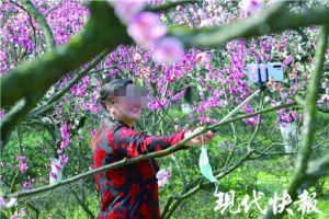 再忍忍!南京超市公園出現市民扎堆現象