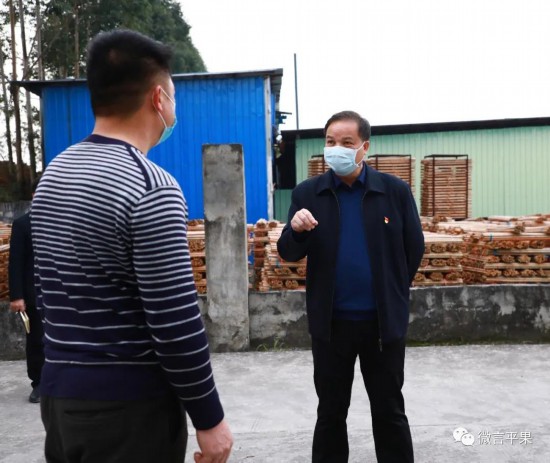 百色市人大常委会党组成员,平果县委书记黄志愿率队到广西北融林