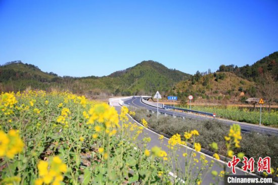 杭州千島湖、さまざまな花が咲き誇り春満開　浙江省