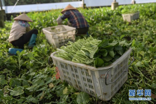 �����ã���2������ũæʱ