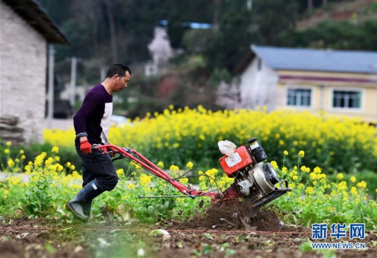 ����ᣩ��2�����ݣ�����ϣ�� ���Ŵ���