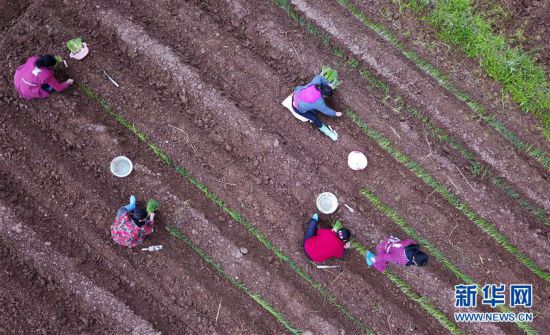 ����ᣩ��7�����ݣ�����ϣ�� ���Ŵ���