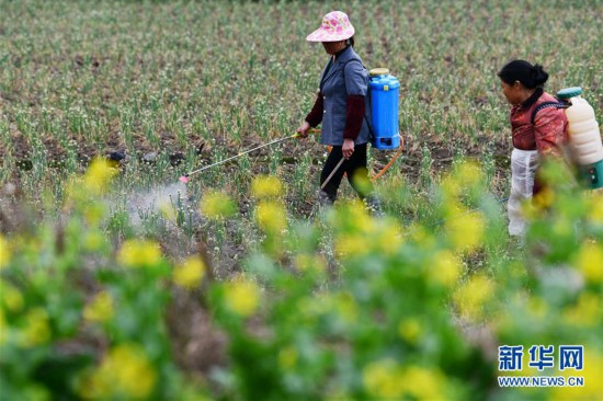 ����ᣩ��8�����ݣ�����ϣ�� ���Ŵ���