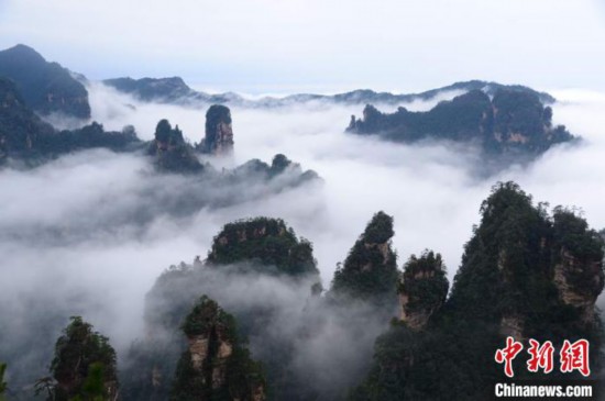 湖南省張家界の世界遺産・武陵源に水墨画のような雲海の絶景広がる