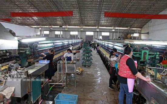 環江：出台多項優惠政策 支持企業復工復產