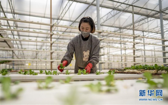 ��ͼ�Ļ�������3�����ﲻմ�� ��İ���µء��������ϵ�һ�ӡ����ռ���