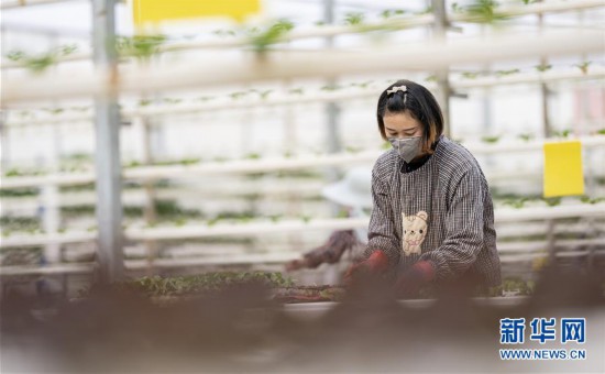 ��ͼ�Ļ�������2�����ﲻմ�� ��İ���µء��������ϵ�һ�ӡ����ռ���