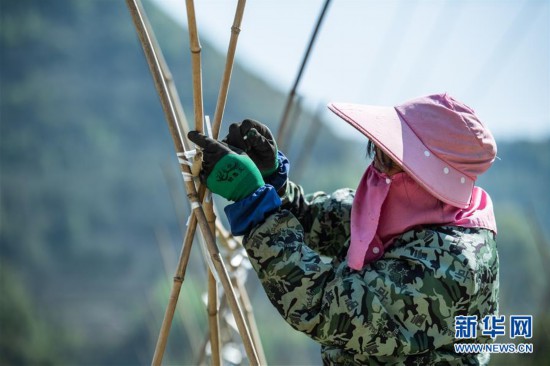 �����ã���5�����ݣ������ ����æ