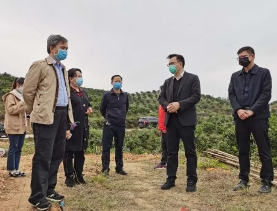 黃炳峰督導檢查疫情防控、脫貧攻堅和水果銷售等情況