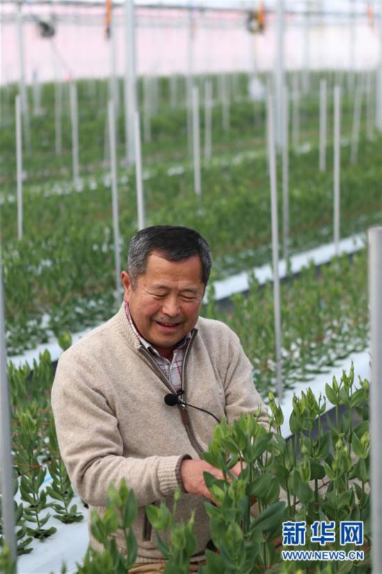 （體育·圖文互動）（8）期待奧運，期待重建和療傷——幾個普通福島人的奧運期待（配本社同題文字稿）