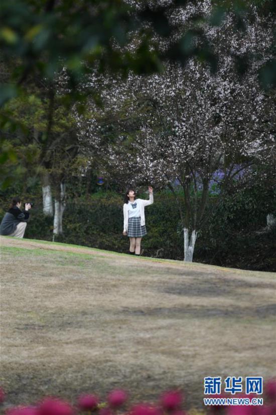（社會）（5）杭州：春日太子灣公園 預約開放