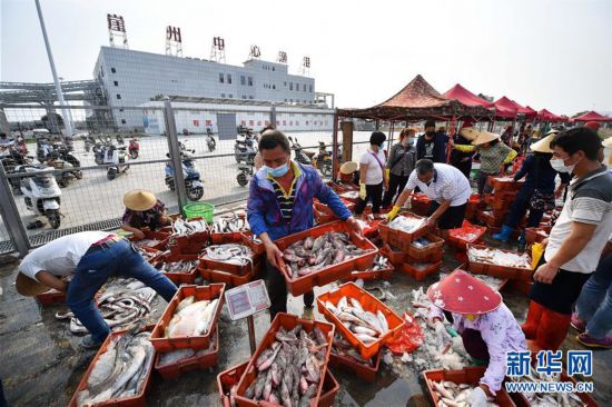 （經濟）（6）海南：耕海歸來魚滿倉