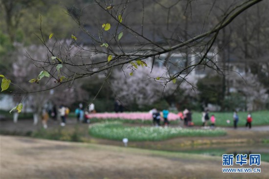 （社會）（1）杭州：春日太子灣公園 預約開放