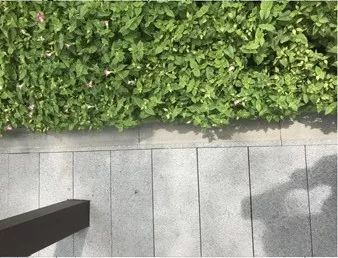 龙光地产：发展绿色建筑 为城市可持续发展赋能
