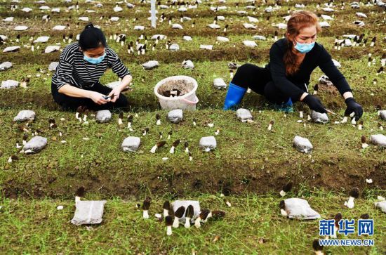 ����ƶ���ᣩ��8��ǭ���ϣ��˲�ҵ ��ɽ��