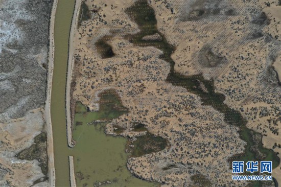 ����������6����ˮ��ɳ����Ѵ