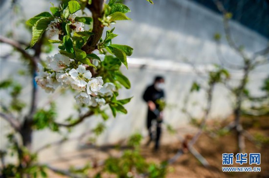 ����ƶ���ᣩ��2��������ͷ������ ��ԭ���ӣ��
