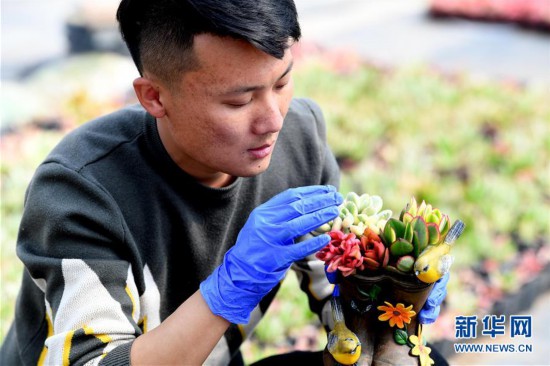 （脫貧攻堅）（2）“90后”花農：花坊開出致富花