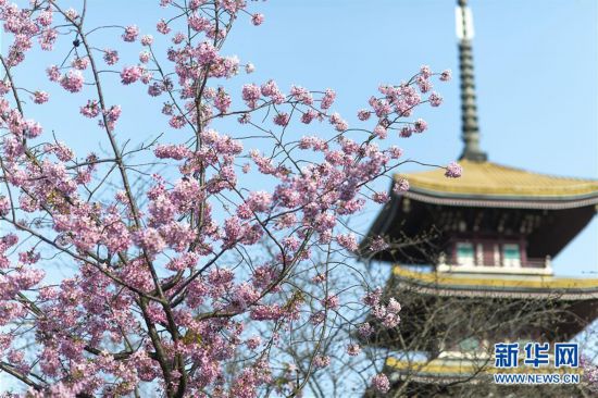 �������й�����12���人�������� ӣ����