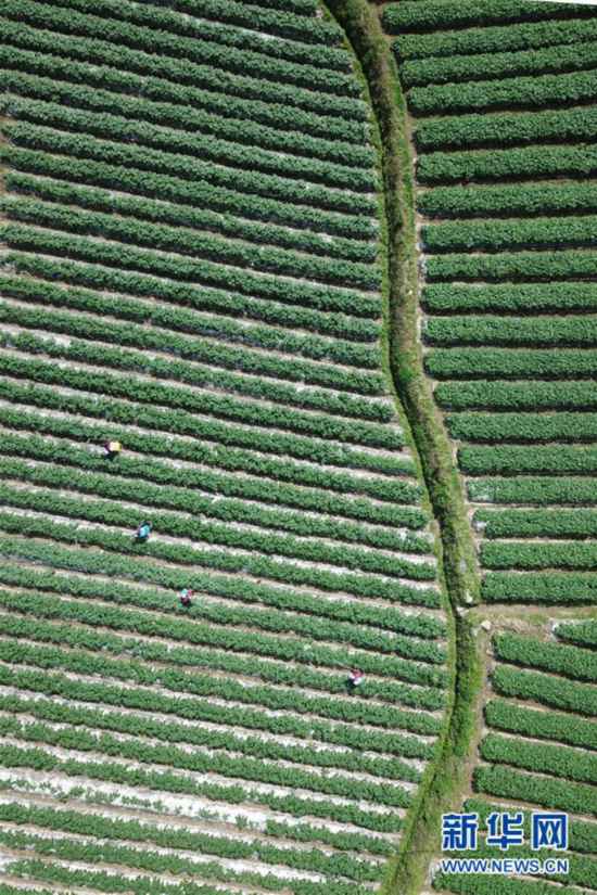 #�����ã���2��������������ůũ��æ