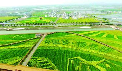 领导留言板 专题策划 宜兴原标题:春之颜     眼下,宜兴市杨巷镇邬泉