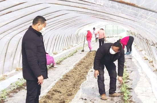 淮安农业人口_淮安富贵农业宋大成