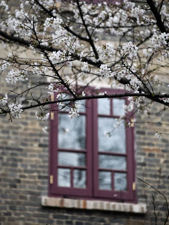 �人��ѧУ԰һ�ǣ�3��16���㣩��