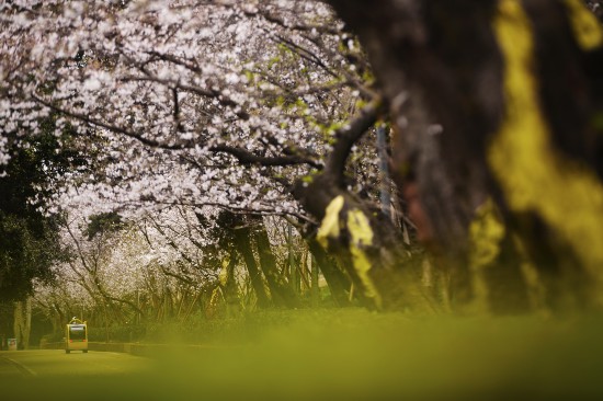 һ��5G�����������人��ѧӣ��������в��������Ѳ�Σ�ʵʱ�ɼ��ʹ���ֱ��ͼ���źţ�3��16���㣩��