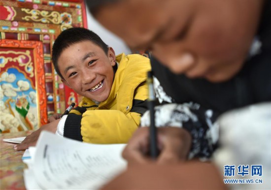 ���»�ȫýͷ����ͼ�Ļ�������15����Խ������͵�����Ǩ�㡪�����ؼ��ߺ�����̬��Ǩ�ƽ�������Ȼ��������