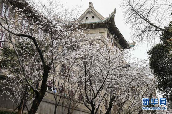 ���۽�������أ���10���人��ѧ��ͨ������ӣ��  ����չʾУ԰ӣ������