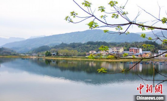 花咲く春、広西桂林の3月