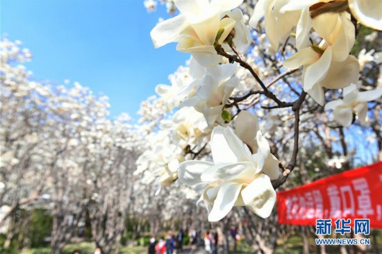 （環境）（3）春色滿園