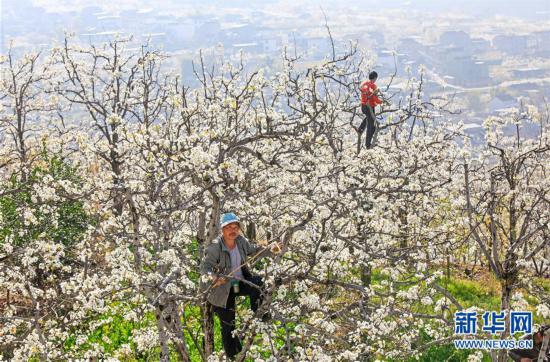 ����ᣩ��6�����ⰻȻ