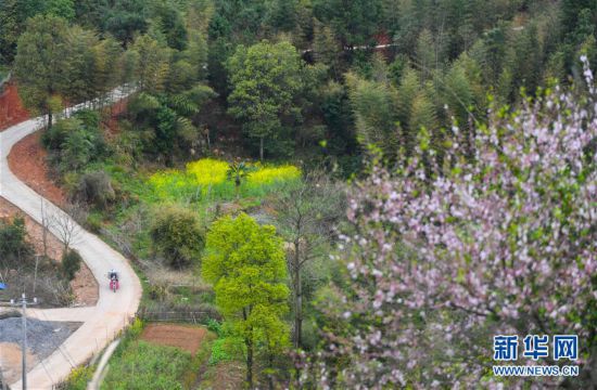 (圖文互動）（6）摩托車上的小課堂