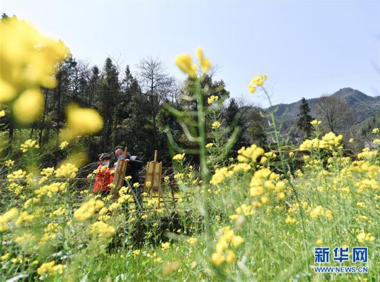 (圖文互動）（7）摩托車上的小課堂
