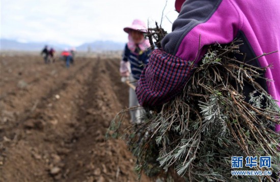 �����ã���2��޹�²���䴺��æ