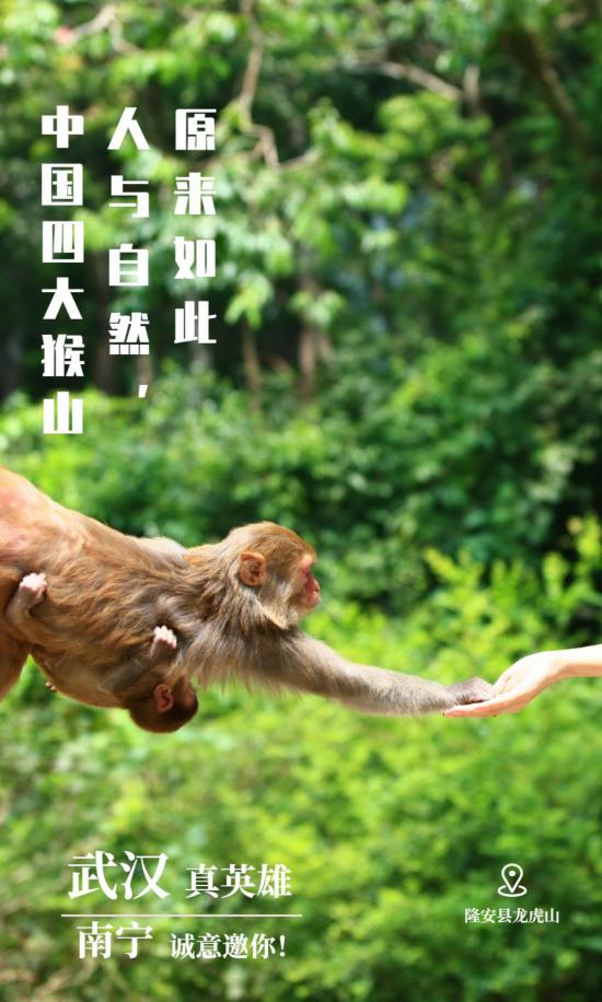 山歌情依旧，今年三月三网聚也精彩