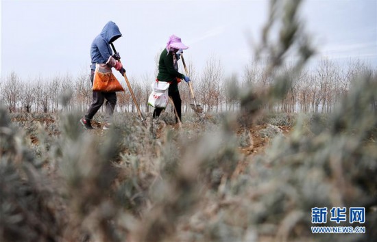 �����ã���4��޹�²���䴺��æ